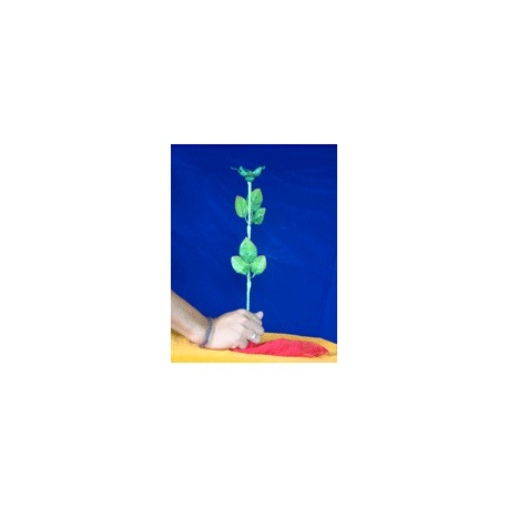Add a Rose
