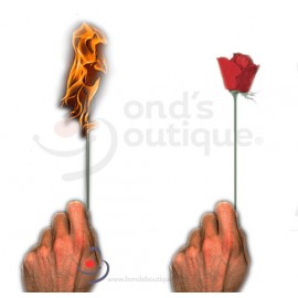 Antorcha a Rosa